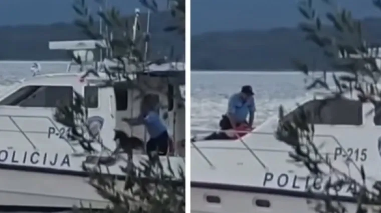 Snimka policajca koji baca psa u more užarila mreže: Ovo je službeno obja&scaron;njenje