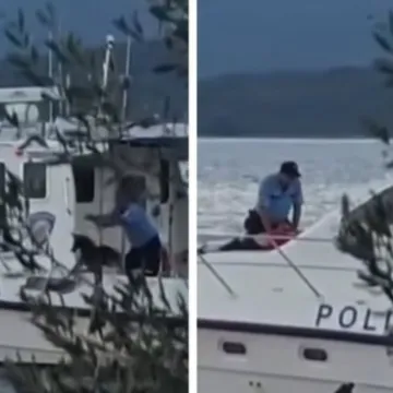 Snimka policajca koji baca psa u more užarila mreže: Ovo je službeno obja&scaron;njenje