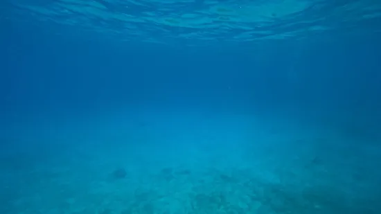 Pogledajte ovaj zaron! Mađarica na Lastovu postavila svjetski rekord na 107 metara
