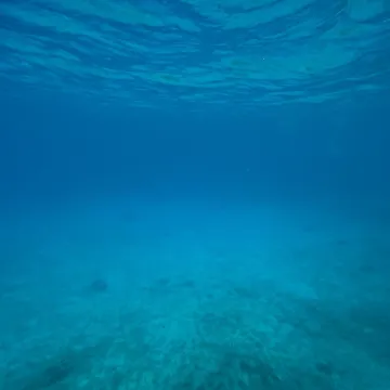 Pogledajte ovaj zaron! Mađarica na Lastovu postavila svjetski rekord na 107 metara