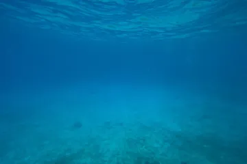 Pogledajte ovaj zaron! Mađarica na Lastovu postavila svjetski rekord na 107 metara
