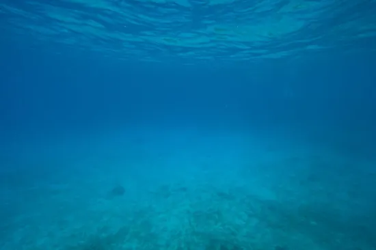 Pogledajte ovaj zaron! Mađarica na Lastovu postavila svjetski rekord na 107 metara