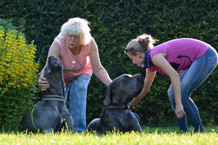 Veterinarka upozorava: 'Ovi psi ne podnose glasne vlasnike'