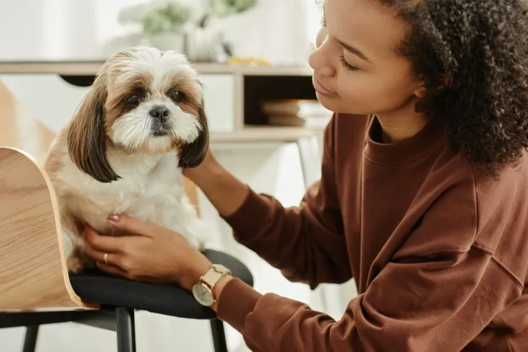 Veterinarka upozorava: 'Ovi psi ne podnose glasne vlasnike'