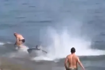 'Monstrum' od 295 kg krenuo na kupača: &Scaron;iri se nevjerojatna snimka s plaže