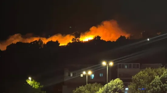 Veliki požar kod Dubrovnika progutao 6000 kvadrata, sumnja se na pirotehniku
