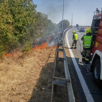 Gori kod Lučkog: Jedan za drugim buknula dva požara, vatrogasci na terenu
