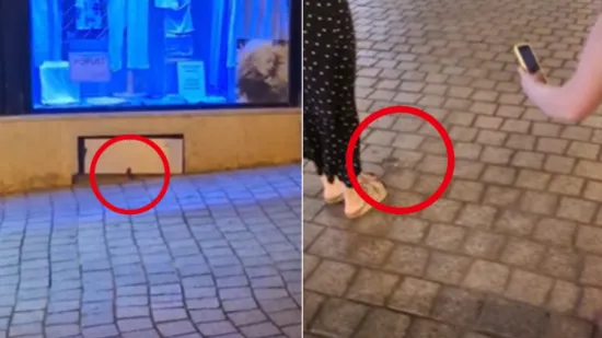 Prizor s Kaptola &scaron;okirao prolaznike: Pogledajte tko je sinoć trčkarao pokraj zagrebačke katedrale