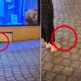 Prizor s Kaptola &scaron;okirao prolaznike: Pogledajte tko je sinoć trčkarao pokraj zagrebačke katedrale