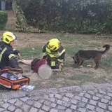 Gorio prostor, vatrogasci prona&scaron;li ženu bez svijesti: Njezin pas nije se odvajao od nje