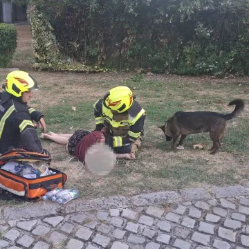 Gorio prostor, vatrogasci prona&scaron;li ženu bez svijesti: Njezin pas nije se odvajao od nje