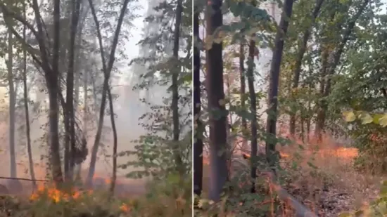 Požar izbio u 'Dolini mira' kraj Iloka: 'Gorjelo je s obje strane granice'