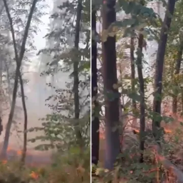 Požar izbio u 'Dolini mira' kraj Iloka: 'Gorjelo je s obje strane granice'