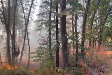 Požar izbio u 'Dolini mira' kraj Iloka: 'Gorjelo je s obje strane granice'