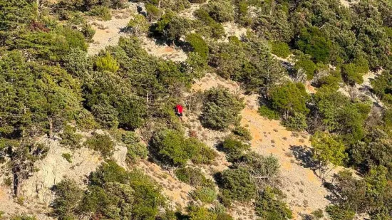 Na Cresu nađeno tijelo &scaron;efa talijanskog teniskog kluba: 'Stra&scaron;na istina iza&scaron;la na vidjelo'