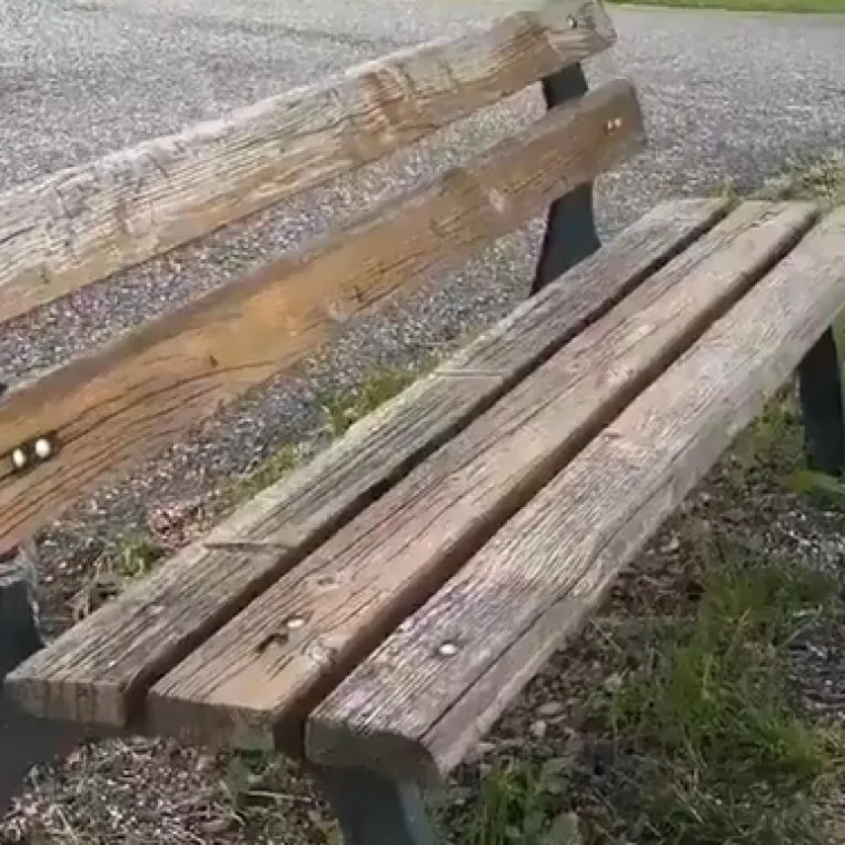 Najbolja klupica na svijetu