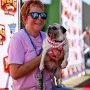 Njezina priča slama srca: Mopsica Jinny Lu progla&scaron;ena najružnijim psom na svijetu