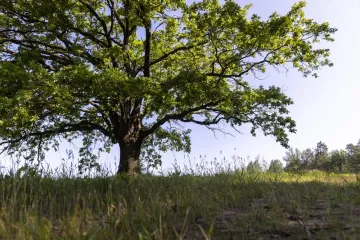 Rastao sam 100 godina. Onda je netko rekao: "Ma neće biti ni&scaron;ta"