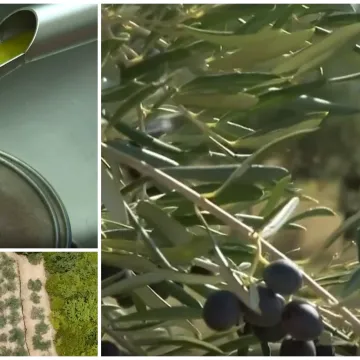 Proizvodnja domaćeg 'čudotvornog eliksira' prvi put podbacila: Popis nedaća sve je veći