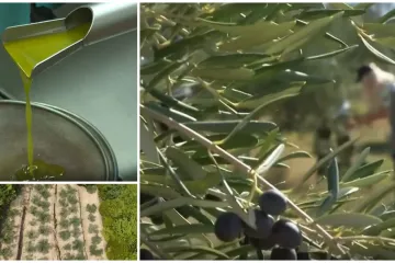 Proizvodnja domaćeg 'čudotvornog eliksira' prvi put podbacila: Popis nedaća sve je veći