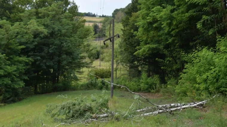 Međimurac sru&scaron;io stablo pa uzrokovao masovni nestanak struje: O&scaron;tetio oko 1200 kućanstava
