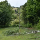 Međimurac sru&scaron;io stablo pa uzrokovao masovni nestanak struje: O&scaron;tetio oko 1200 kućanstava