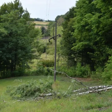 Međimurac sru&scaron;io stablo pa uzrokovao masovni nestanak struje: O&scaron;tetio oko 1200 kućanstava