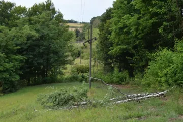 Međimurac sru&scaron;io stablo pa uzrokovao masovni nestanak struje: O&scaron;tetio oko 1200 kućanstava