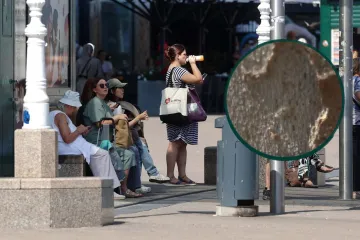 Ovih dana nema tko se ne žali na njih, preplavile su Hrvatsku: 'Nemoguće ih je ubiti'