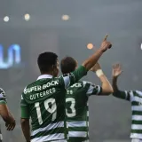 Ekskluzivno na Voyo od ove subote pratite uzbudljive susrete portugalske nogometne lige!