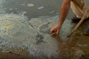 Najprije pomor ribe, a sada novi zabrinjavajući prizori sa Save: 'Ovakve katastrofe još nije bilo'