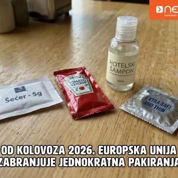 Jednokratno