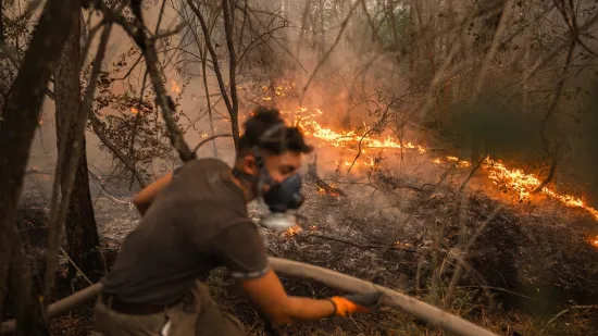 Srbija se tjednima bori s požarom, EU &scaron;alje Black Hawkove: Stiže i vi&scaron;e od 120 vatrogasaca