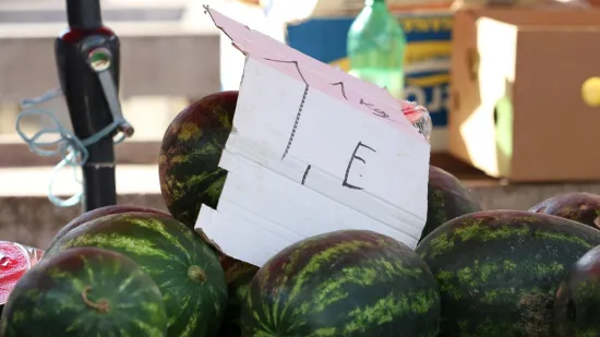 Biranje lubenice je lutrija, a ovaj Metkovac nije imao sreće: 'To je možda nova sorta...'