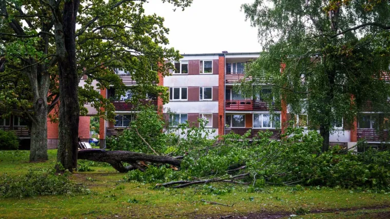 Razorna oluja poharale sjever Europe, ima poginulih: 'Ovo su najgore oluje koje smo imali ovog ljeta'