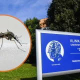 Troje oboljelih od virusa Zapadnog Nila u Hrvatskoj, prenose ga komarci - može biti smrtonosan