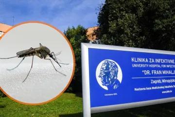 Troje oboljelih od virusa Zapadnog Nila u Hrvatskoj, prenose ga komarci - može biti smrtonosan