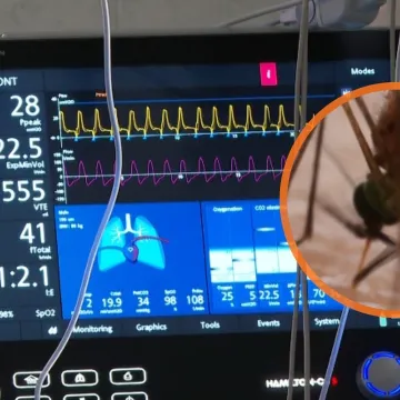 Doznajemo: Mu&scaron;karac zaražen virusom Zapadnog Nila na respiratoru, bori se za život