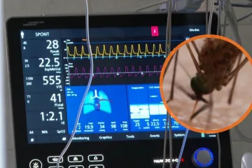 Doznajemo: Mu&scaron;karac zaražen virusom Zapadnog Nila na respiratoru, bori se za život