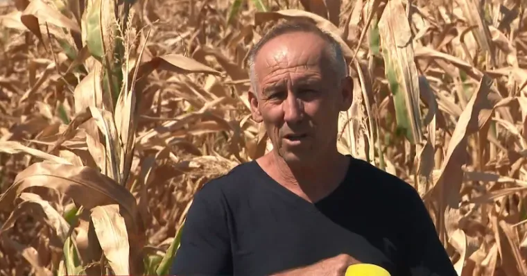 Ratari pokazali računicu koja ih baca u očaj: 'Cijene ravna crta, kao kad srce prestane kucati'