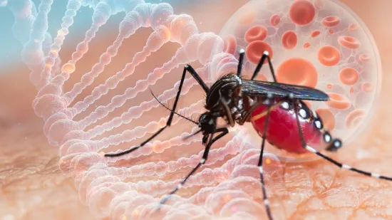 Sve &scaron;to trebate znati o virusu Zapadnog Nila: Kako se prenosi, simptomi i kada je opasan