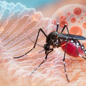 Sve &scaron;to trebate znati o virusu Zapadnog Nila: Kako se prenosi, simptomi i kada je opasan