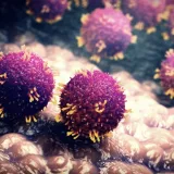 Najveća epidemija u desetljećima, raste broj umrlih: Je li se ova epidemija mogla spriječiti?