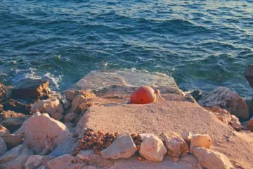 Nevjerojatni prizori iz Bibinja: 'Zagradili su dio plaže, zbog smrada je sve puno opasnih kukaca'