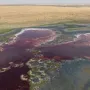 Srce usred pustinje: Ovo tajanstveno jezero skriva uistinu fascinantan prirodni fenomen