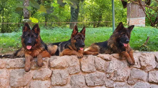 Proslavimo njihov dan uz najslađe fotke: Ove predivne nju&scaron;kice izmamit će vam osmijeh
