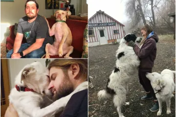 Ovi ljubimci su bez imalo srama oteli partnere svojih vlasnika: Prizori su apsolutno urnebesni