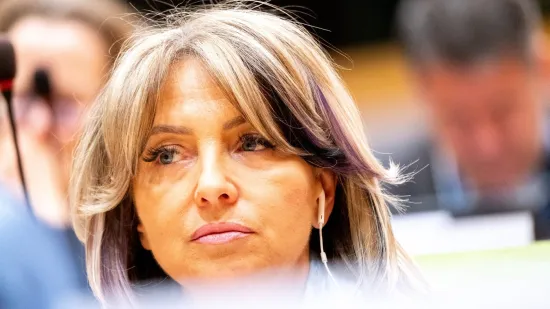 Na&scaron;a europarlamentarka o&scaron;tro reagirala na poruku &scaron;ef parlamenta Crne Gore o Mladiću