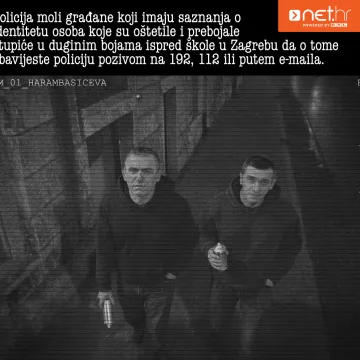 Vandalizam