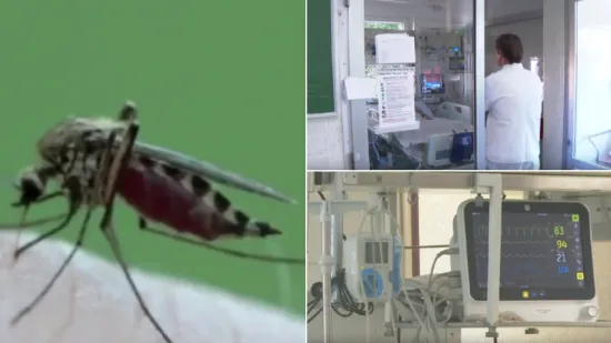 Virus Zapadnog Nila &scaron;iri se Zagrebom: Od četvero pacijenata dvoje je na intenzivnom liječenju